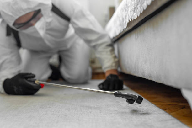 Professional Bed Bug Control technician working in University Center, VA