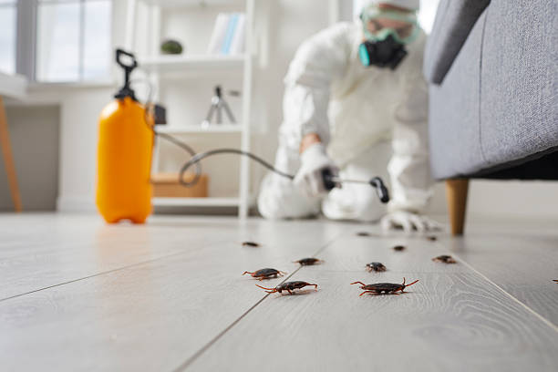 Trusted Bed Bug Control service in University Center, VA - Nex Pest Control