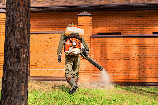Trusted Cockroach Control service in University Center, VA - Nex Pest Control